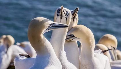 九游登录入口-国际热身赛中国青年队逆袭 球迷支持新人涌现，国家队热身赛进球算不算正式进球