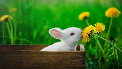 九游娱乐(jiuyou)官方网站-女足世界杯开幕式精彩瞬间，女足世界杯开幕式精彩瞬间图片