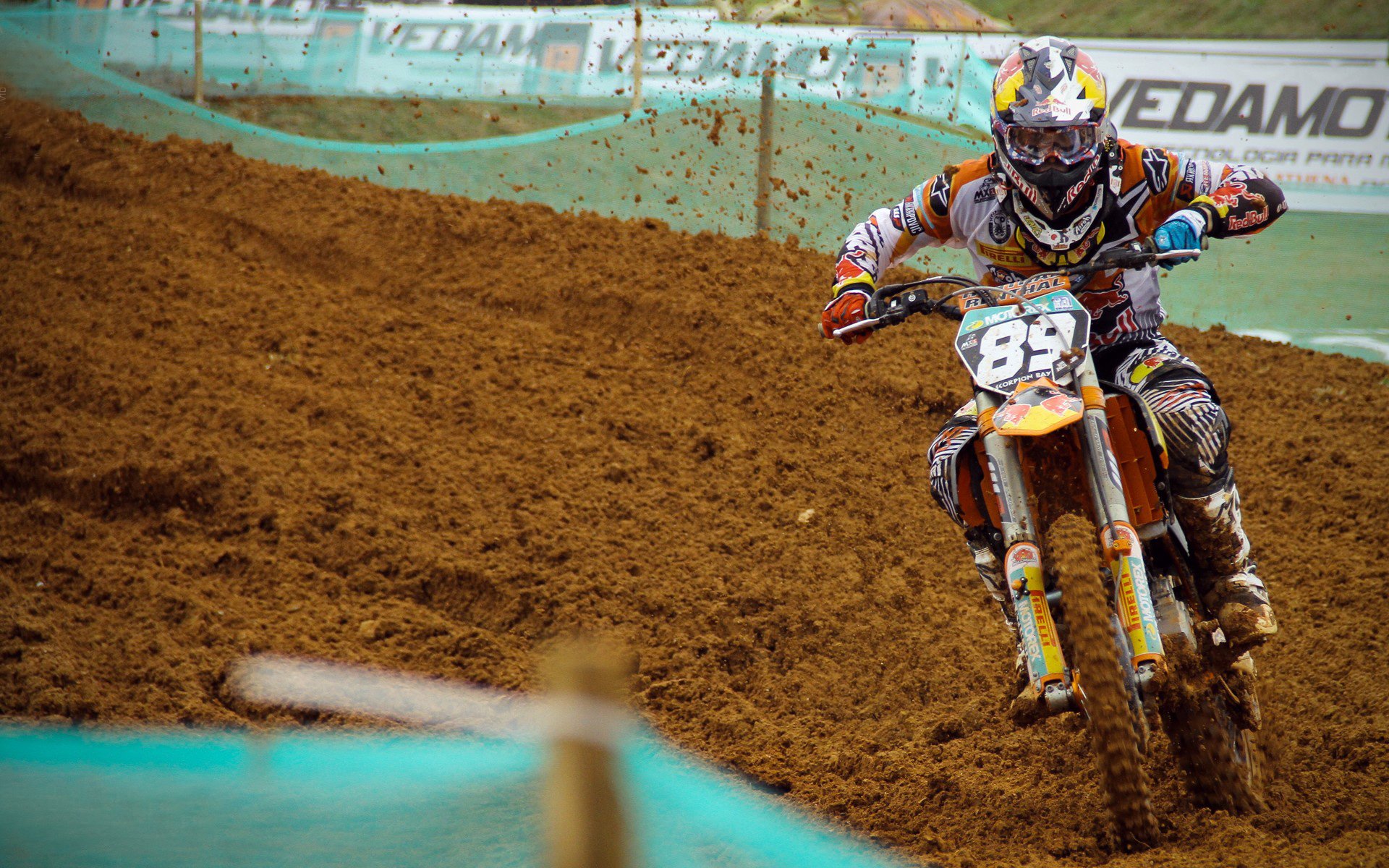 意大利骑手多米安·米歇尔斯在2024年巴黎奥运会盛装舞步比赛中以“Dante”马匹获得第六名,展现坚韧精神。