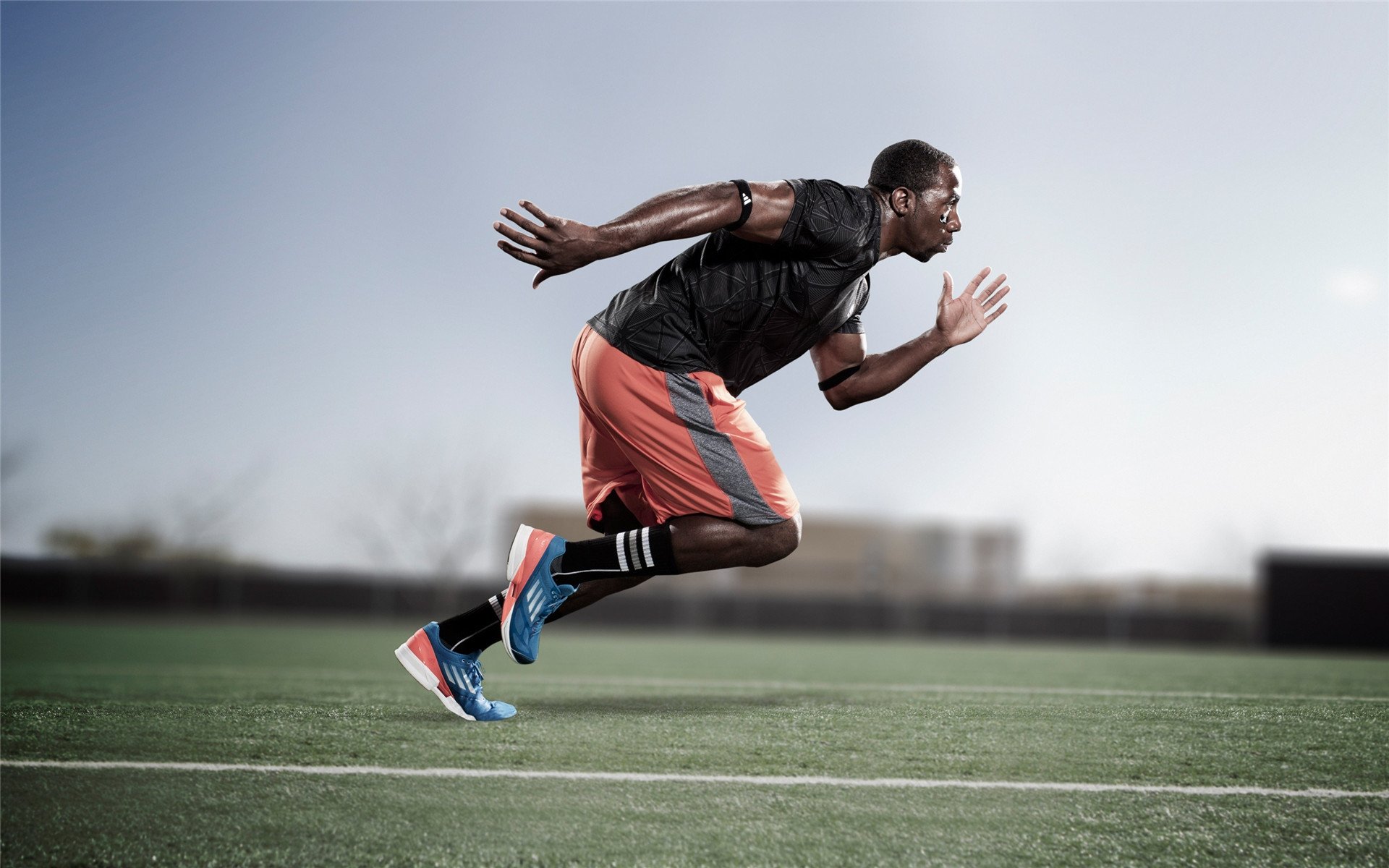 橄榄球志愿服务体系逐步完善,橄榄球专项运动员能上哪些大学